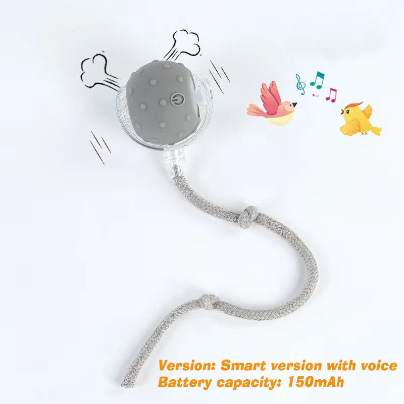 Interactive Cat Ball Toy