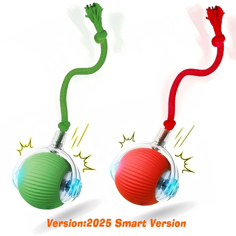 Interactive Cat Ball Toy