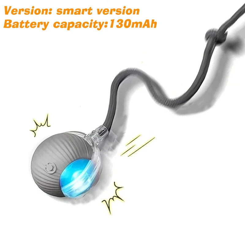 Interactive Cat Ball Toy