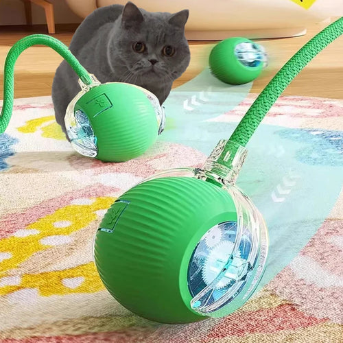 Interactive Cat Ball Toy