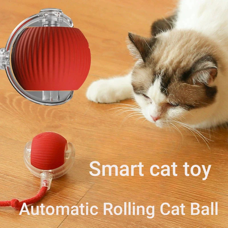 Interactive Cat Ball Toy