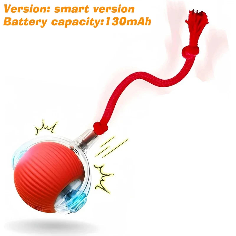 Interactive Cat Ball Toy