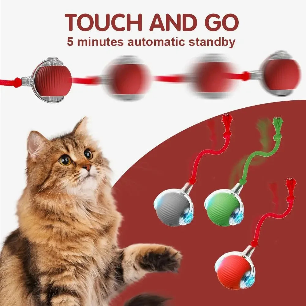 Interactive Cat Ball Toy