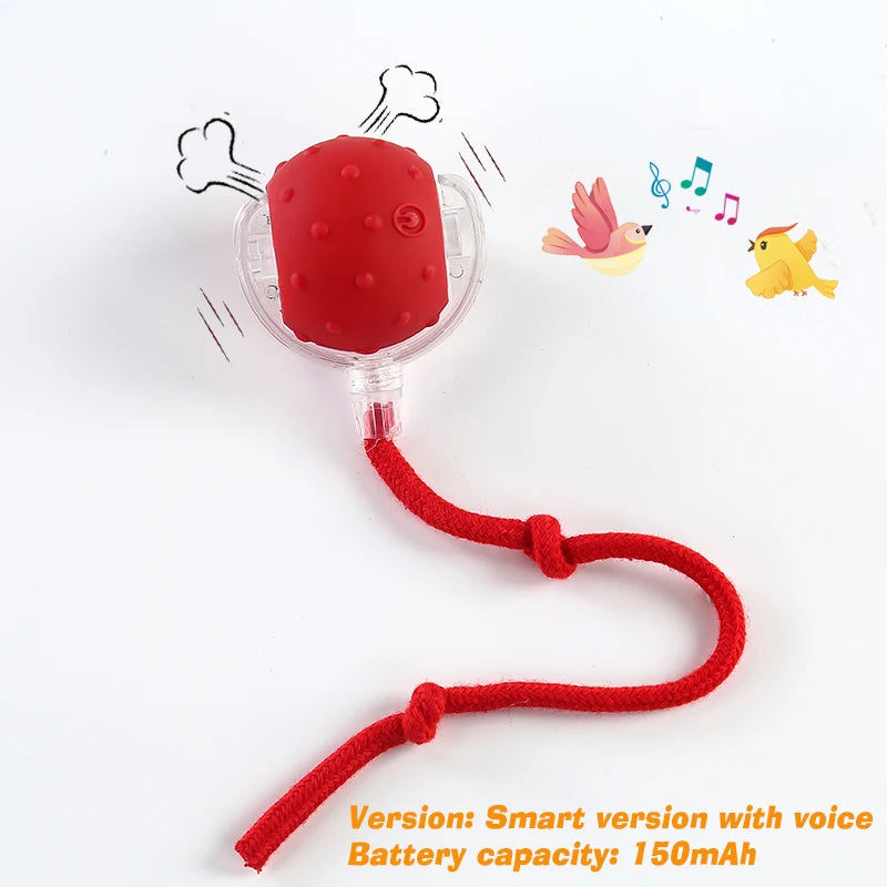 Interactive Cat Ball Toy
