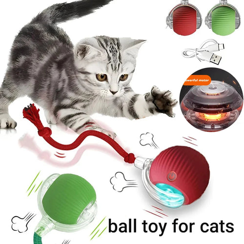 Interactive Cat Ball Toy
