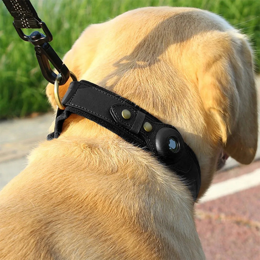 TrackPaw Airtag Collar