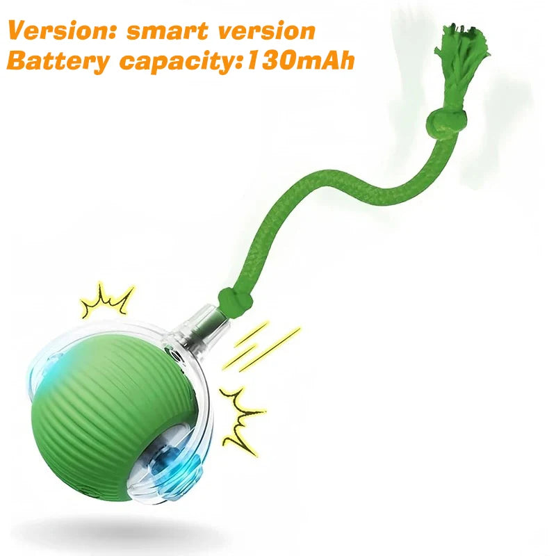Interactive Cat Ball Toy
