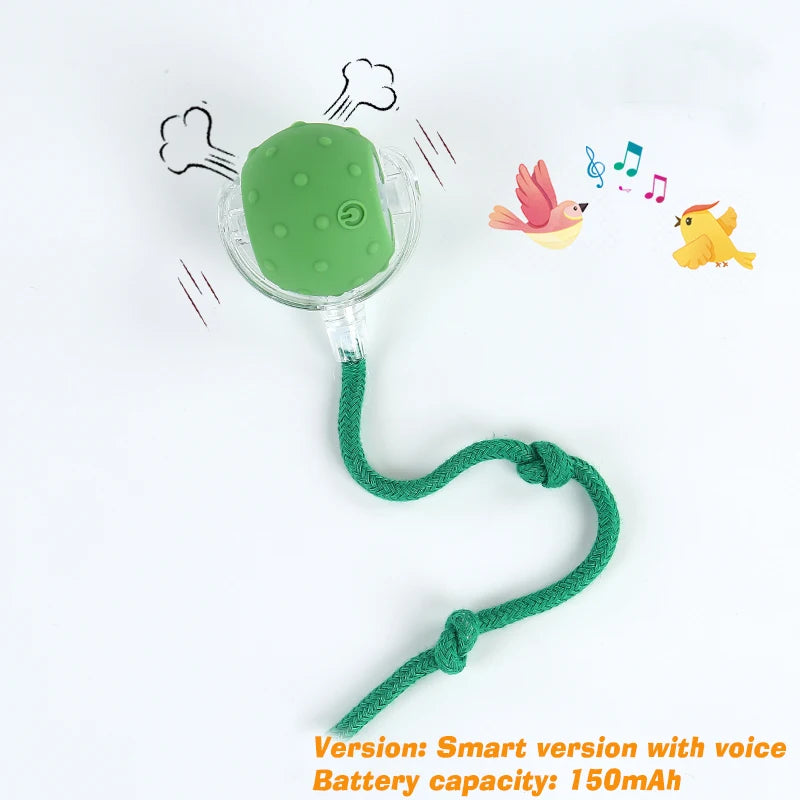 Interactive Cat Ball Toy